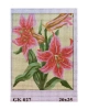 Vyšívací sada 20x25 cm, vzor GK-027