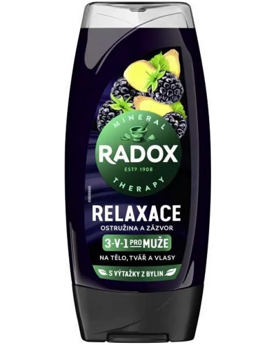 Radox, sprchový gel, Men 3v1, Relaxace, Ostružina a zázvor, 225 ml