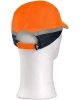 Cran oranžová 1.jpg