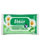 Vlhčený TP Velvet Camomile 48ks/16